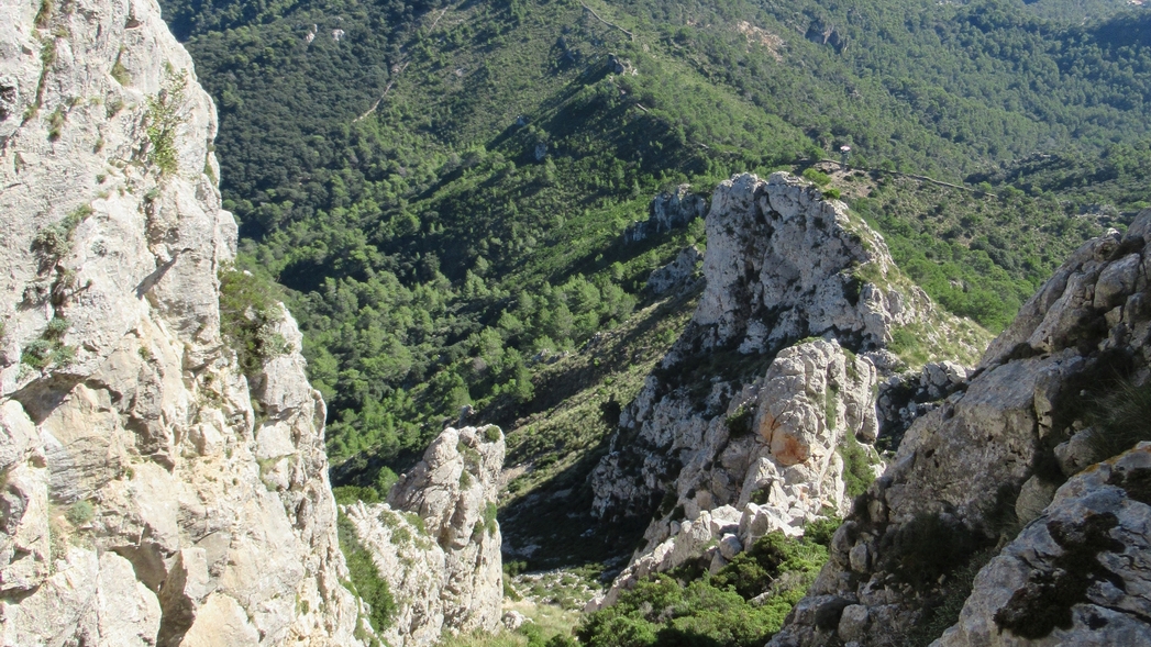 Puig des Galatzó 11