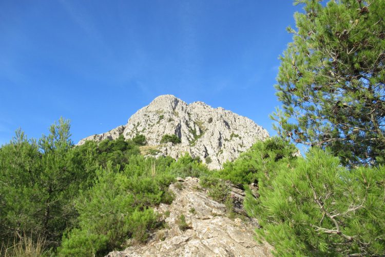 Puig des Galatzó